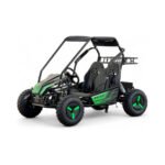 CARRO MINI BUGGIE ELECTRICO