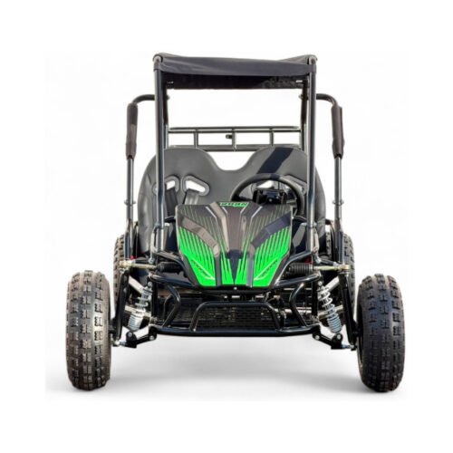 CARRO MINI BUGGIE ELECTRICO