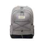 COLEMAN MOCHILA TERMICA 30 LATAS GRIS